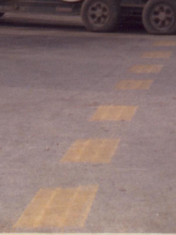 0005 strisce gialle.jpg