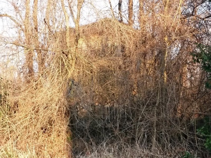 0004 fermata spercenigo 2015.01.25 andrea mozzoni.jpg