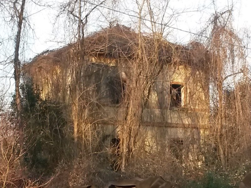 0005 fermata spercenigo 2015.01.25 andrea mozzoni.jpg