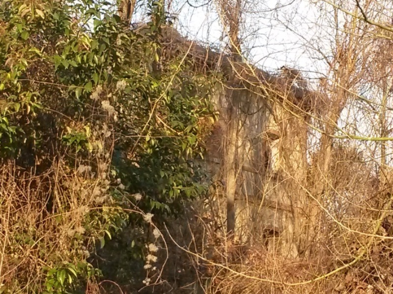 0006 fermata spercenigo 2015.01.25 andrea mozzoni.jpg