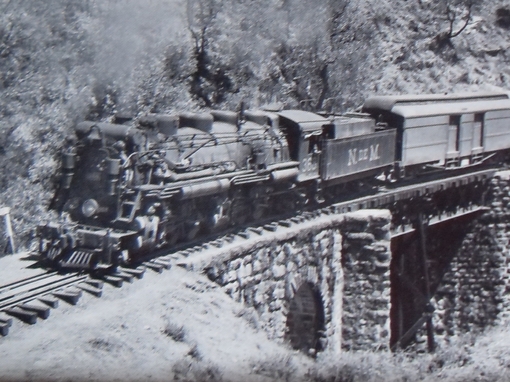 SDC11645 (Copia).JPG