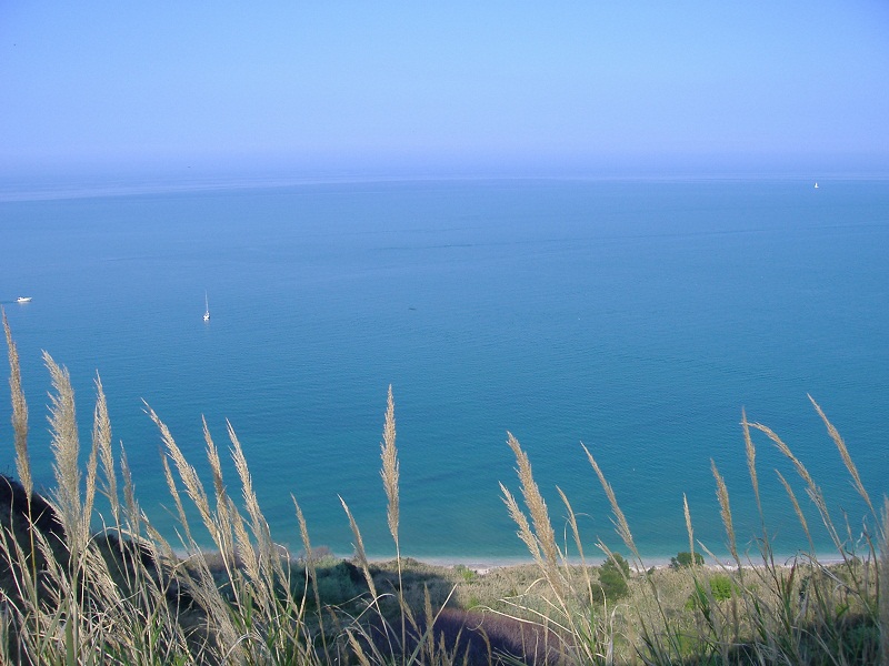 DSCF0555.JPG