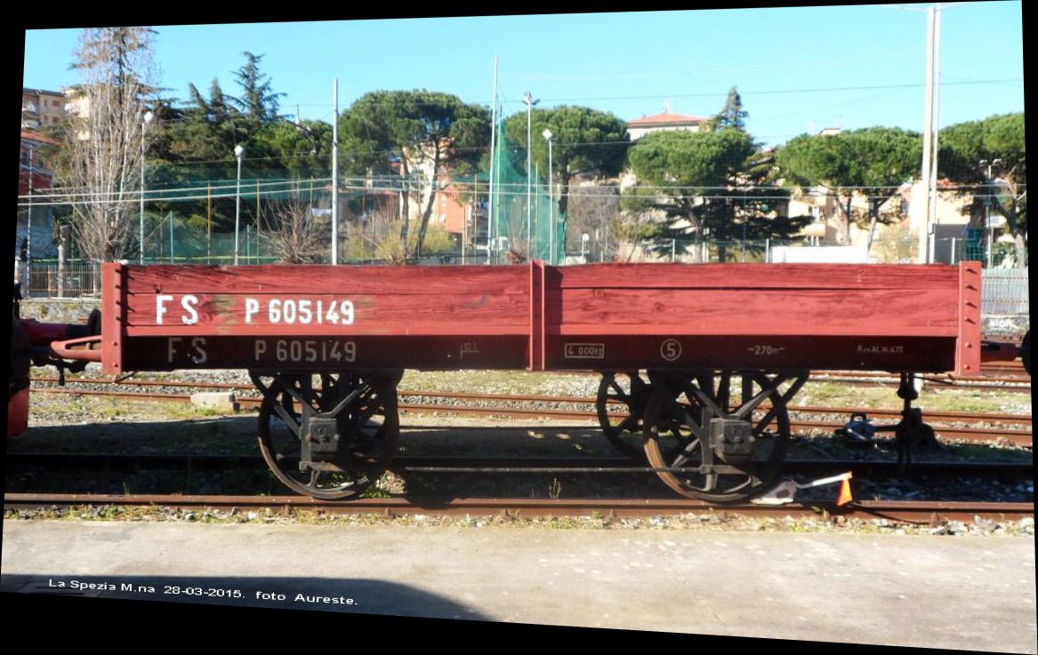 carroP605_rect.jpg