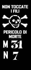 skull.jpg