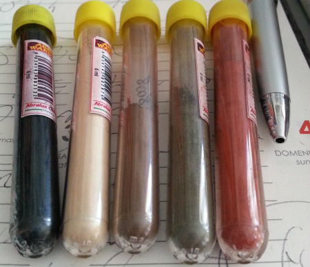 crop  pig spo carri.jpg