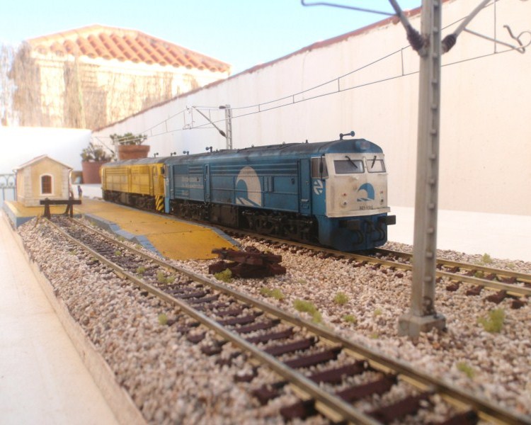 P7050111.JPG