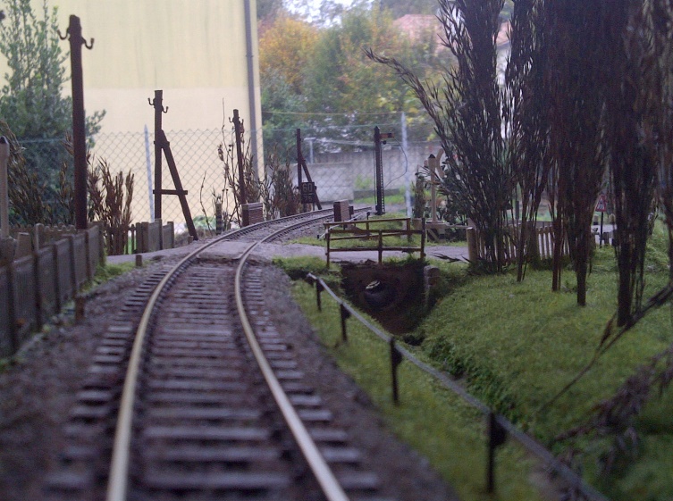 IMG-20131102-00419.jpg