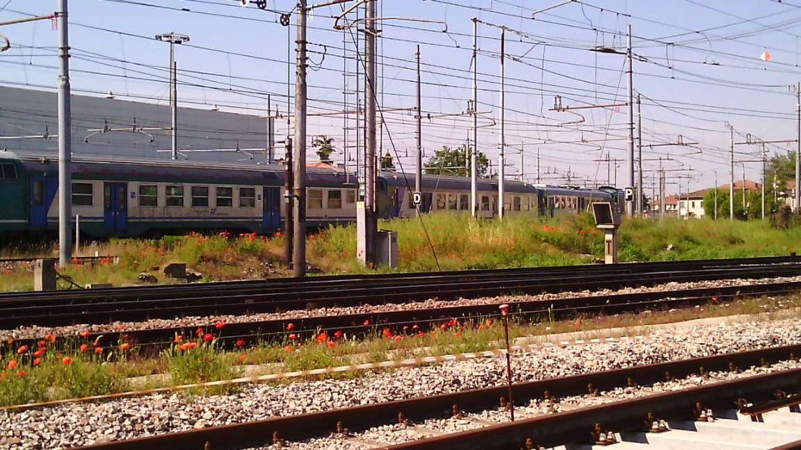 IMG_20160508_102933 - Copia.jpg