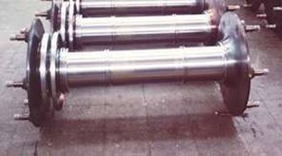 Albero cavo E 656.jpg