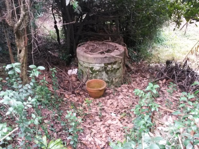 0006 Castagnole 2016 01 22 Mozzoni.jpg