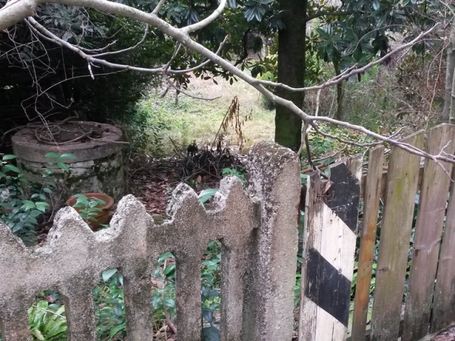 0005 Castagnole 2016 01 22 Mozzoni.jpg