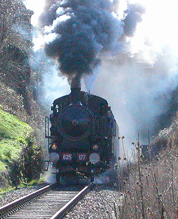 DSCN0667---.jpg