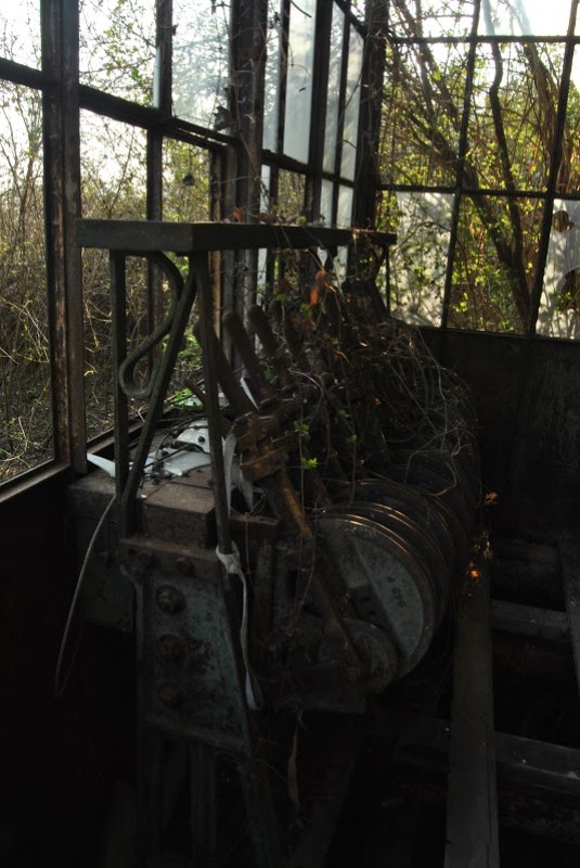 2015-03-19 volpago 02 foto Andrea Baldanello.JPG