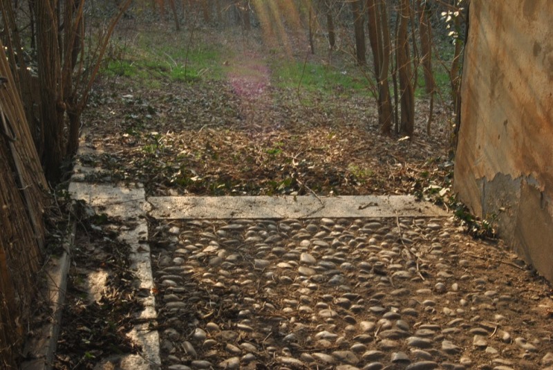 2015-03-19 volpago 09 foto Andrea Baldanello.JPG