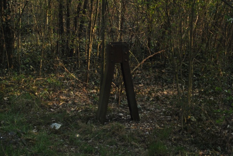 2015-03-19 volpago 11 foto Andrea Baldanello.JPG