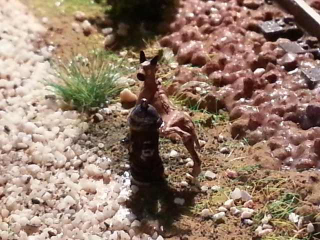 20161102_153049.jpg