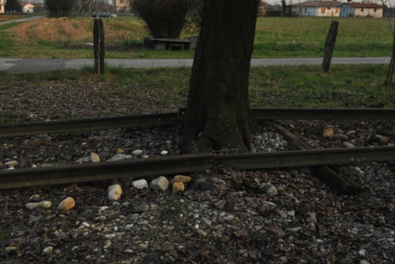 0002 2015-03-19 nervesa 2 foto Andrea Baldanello.JPG