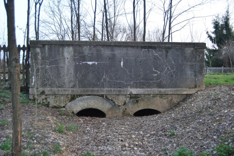 0004 2015-03-19 nervesa 6 foto Andrea Baldanello.JPG