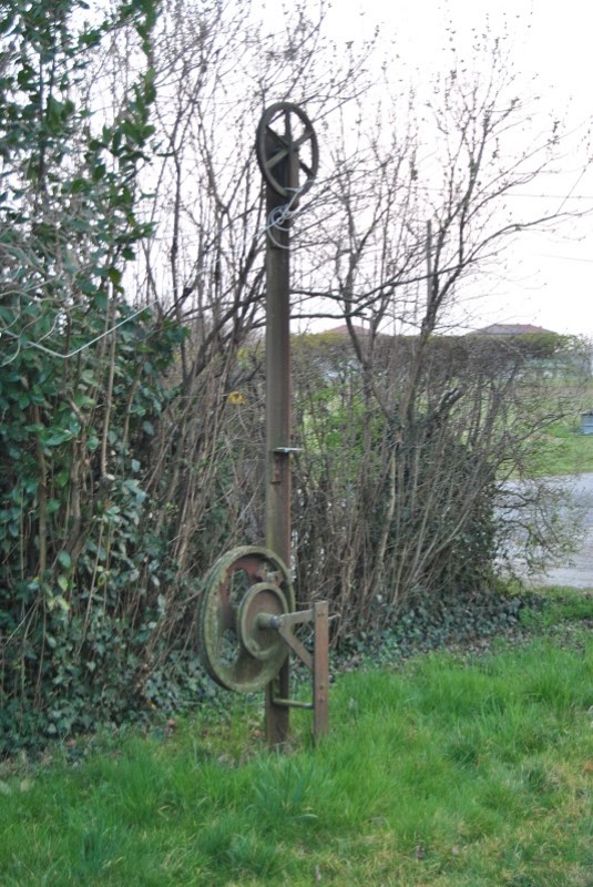 0007 2015-03-19 nervesa 7 foto Andrea Baldanello.JPG