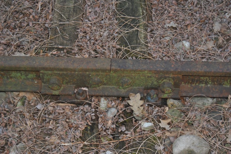 0009 2015-03-19 nervesa 9 foto Andrea Baldanello.JPG