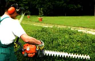 Taia sü ca lè un piasè.jpg