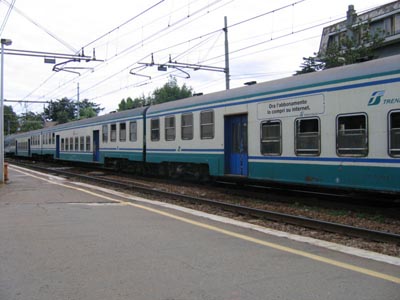 P.riba 65.jpg