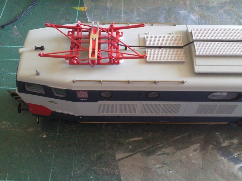 Caimano 2.JPG