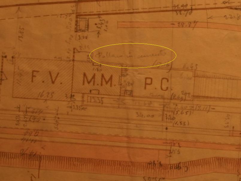 00 IMG_7105 pollaio.JPG