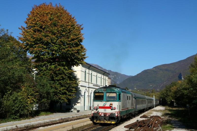 D 445.1124 2015.10.26 Alano Fener Paolo Taesi.jpg