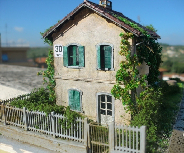 CIMG3844-copia.JPG