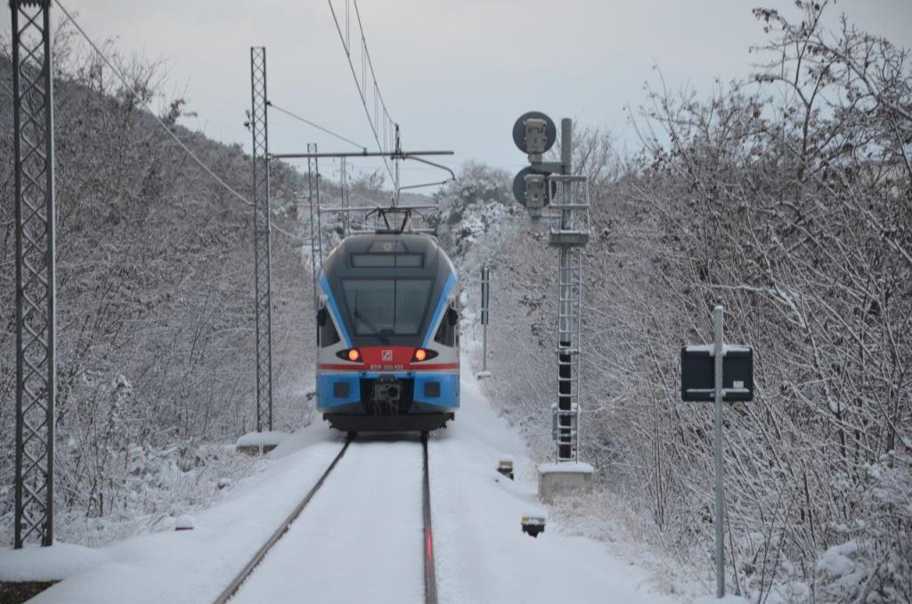 Nella neve.jpg