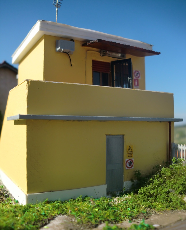 CIMG3857-copia.JPG
