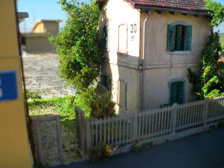 CIMG3866-copia.JPG