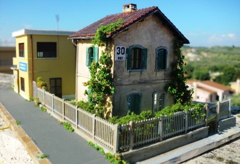 CIMG3870-copia.JPG
