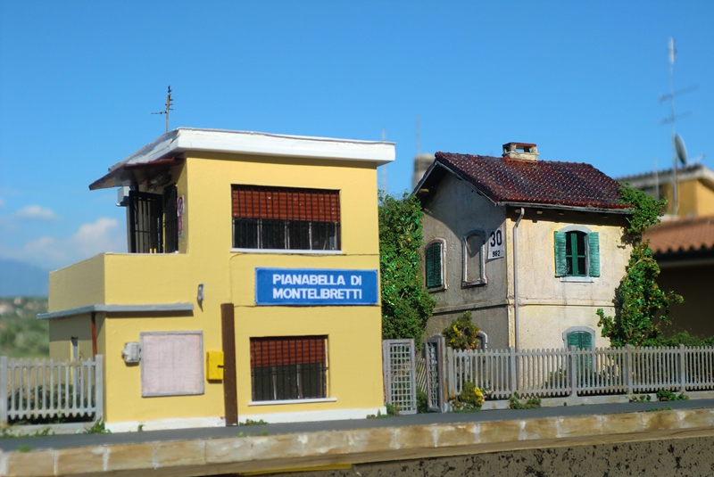 CIMG3896.JPG