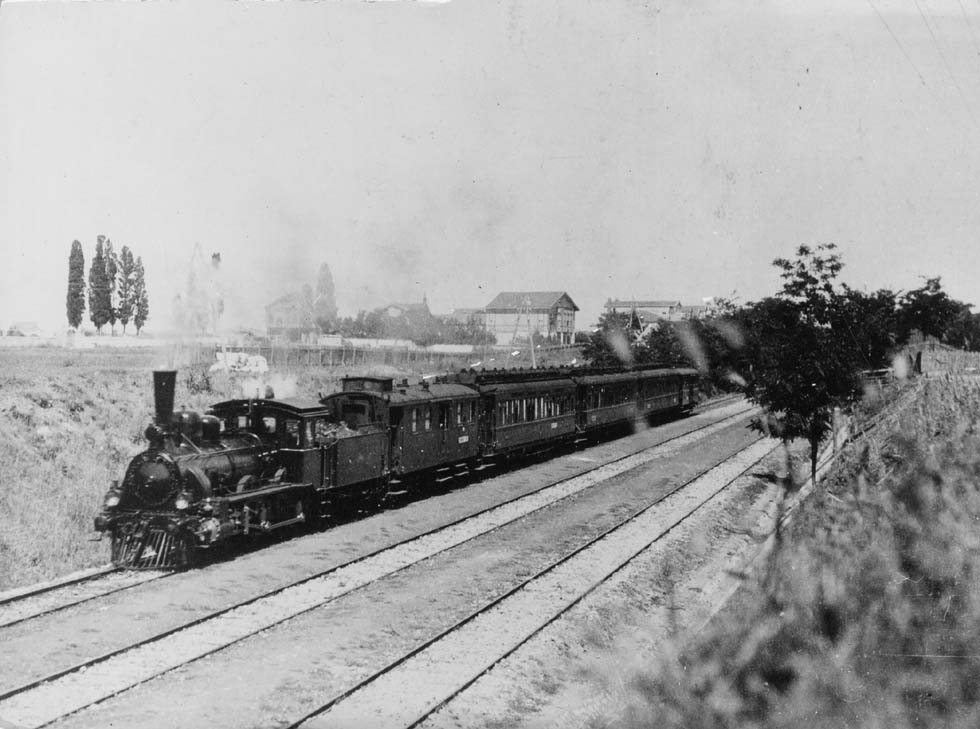 ciwl lanterne ant.JPG