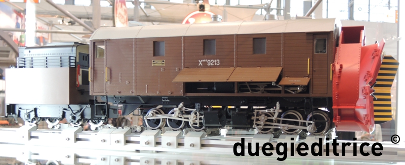 DSCN1675_.jpg