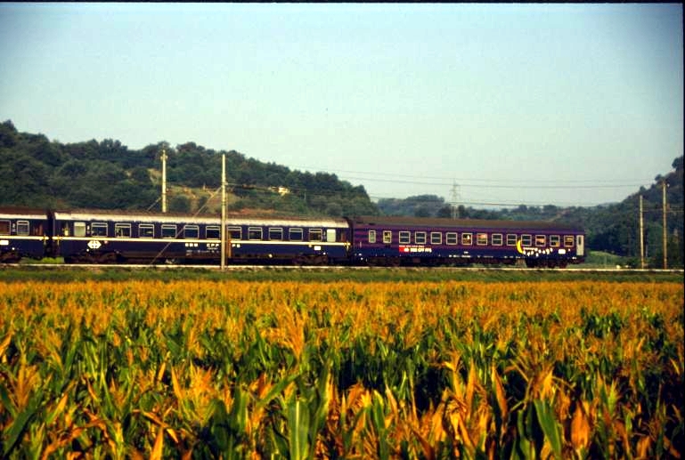 05 D4 338.JPG