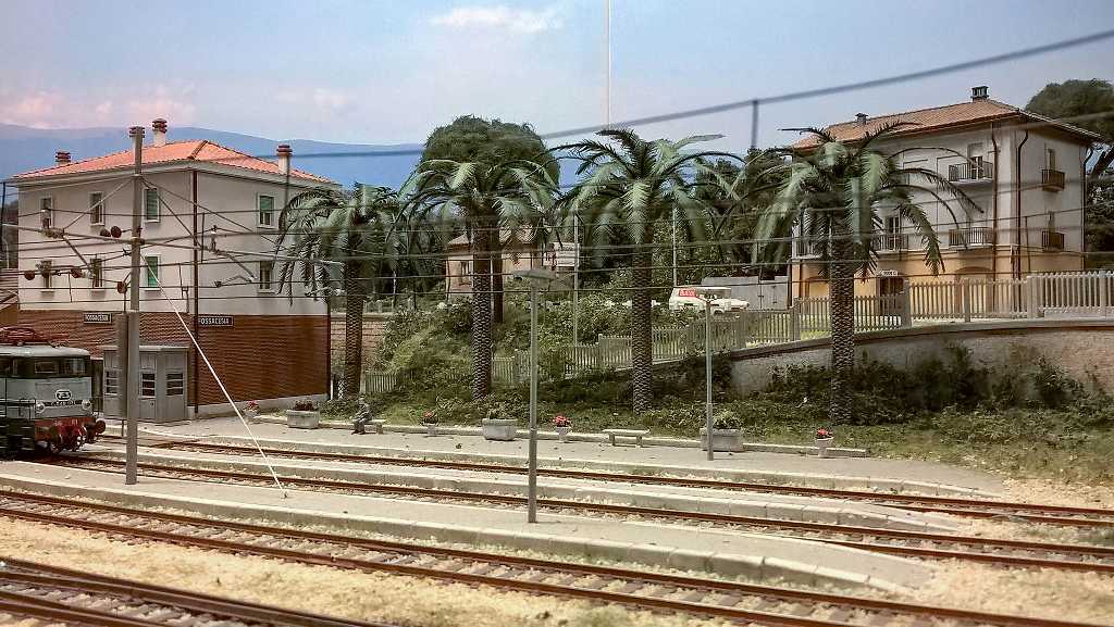 Palme a Fossacesia 4.jpg