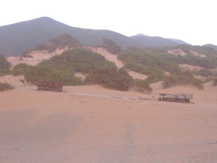 DSCF0100.JPG