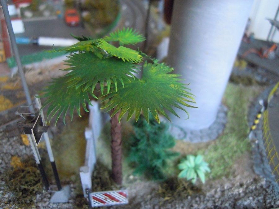 DSCN2205.JPG
