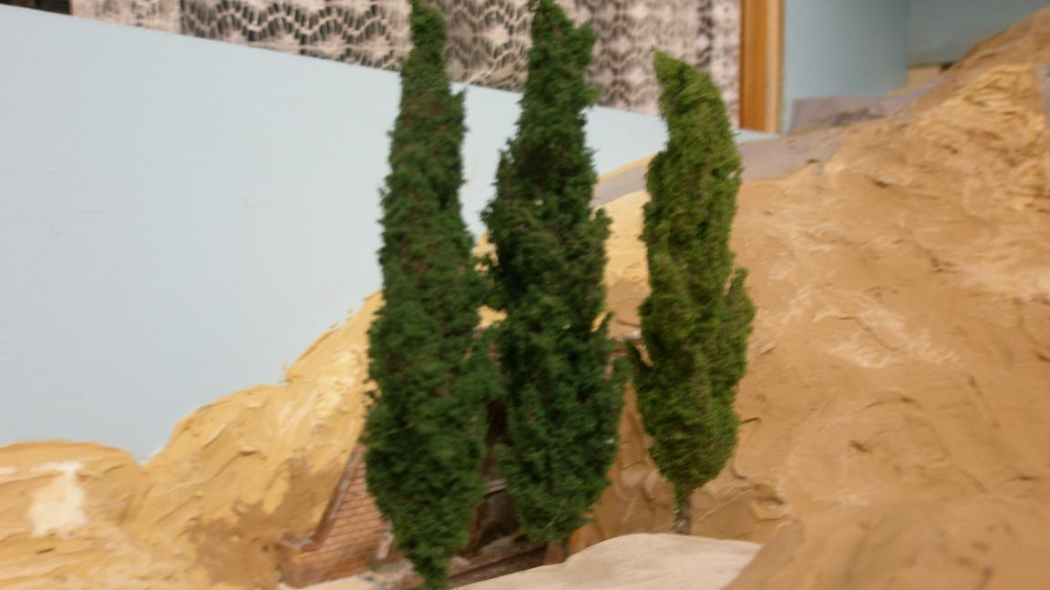 295.35 cipressi.JPG