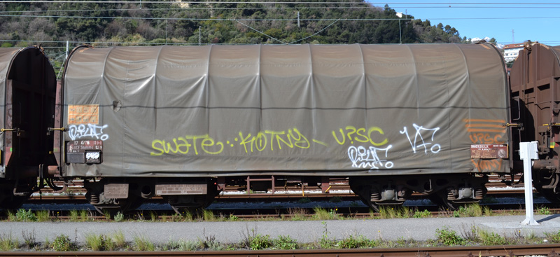 DSC_0163.jpg