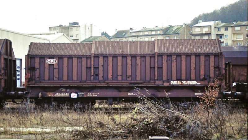 MCS_8634.jpg