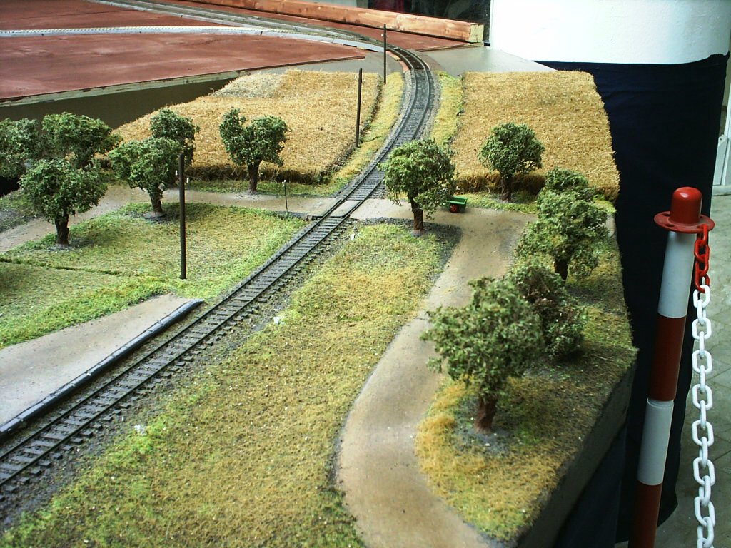 S3000019.JPG
