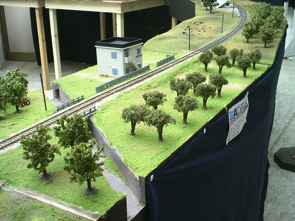 S3000017.JPG