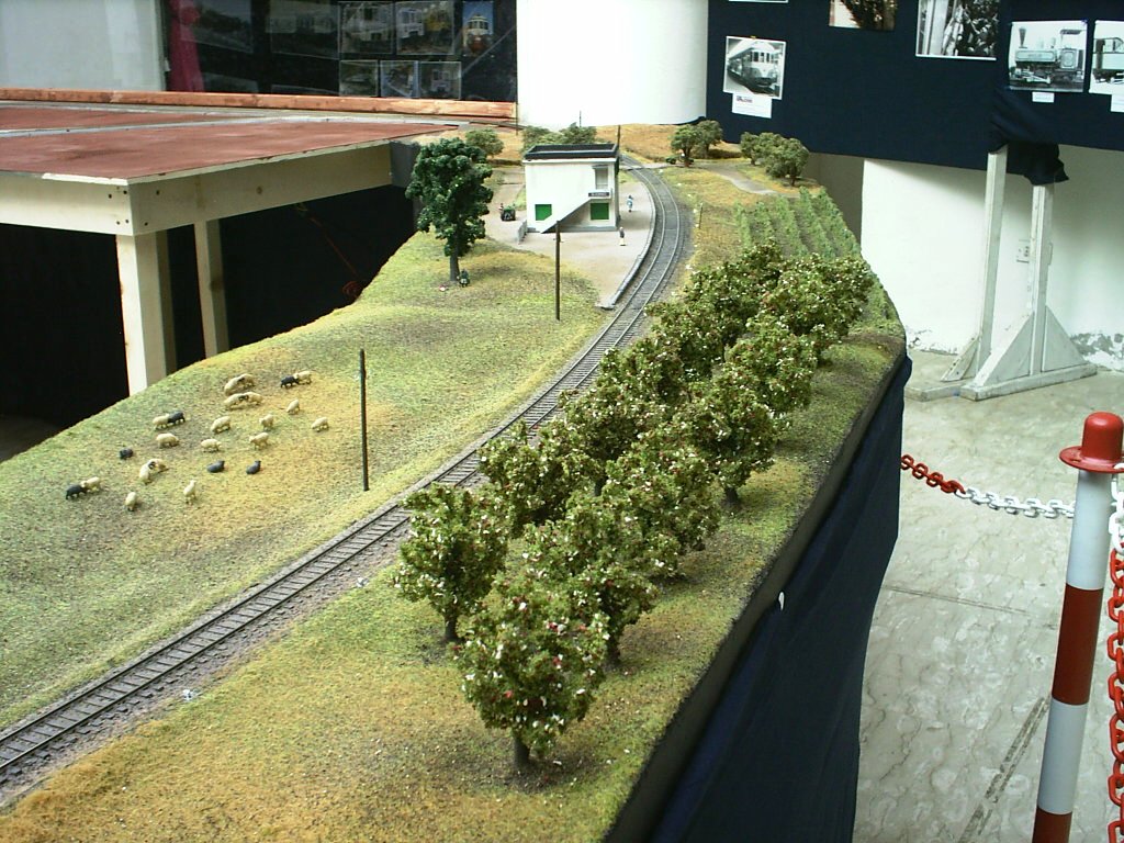 S3000018.JPG
