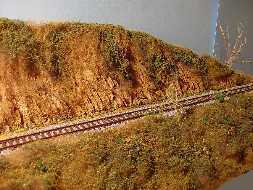 HPIM2251.JPG