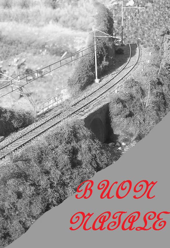 HPIM2259.JPG