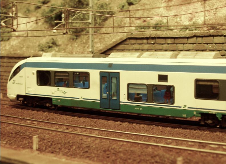 folle.JPG